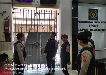 WhatsApp Image 2026 02 06 at 11.30.50