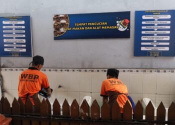 WhatsApp Image 2026 02 07 at 09.48.11