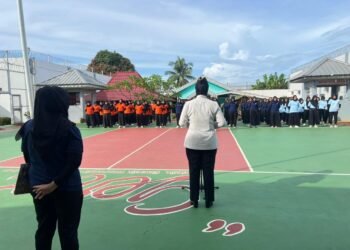 WhatsApp Image 2026 02 09 at 09.17.52