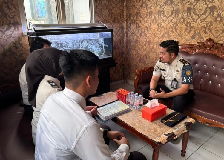 WhatsApp Image 2026 02 09 at 11.21.50