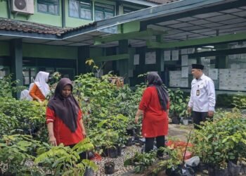 WhatsApp Image 2026 02 09 at 20.00.38