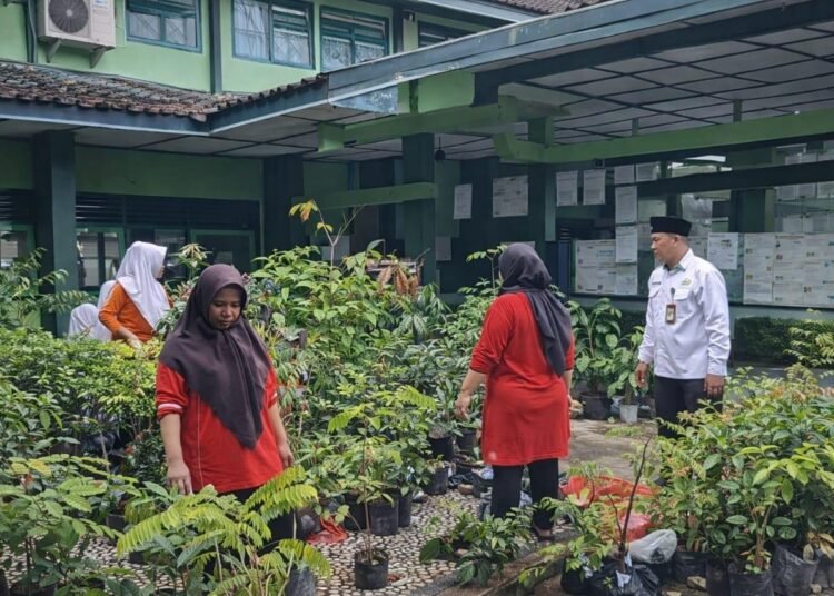 Tim Penanaman 1.000 Pohon MTs N 6 Bantul Siapkan Distribusi Bibit ke Lingkungan Sekitar 46 WhatsApp Image 2026 02 09 at 20.00.38