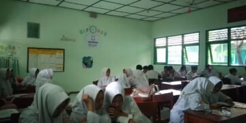 WhatsApp Image 2026 02 10 at 11.43.51
