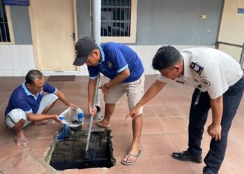 WhatsApp Image 2026 02 10 at 13.18.38