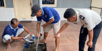 WhatsApp Image 2026 02 10 at 13.18.38