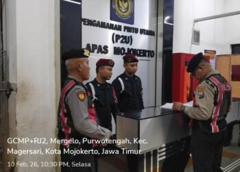 WhatsApp Image 2026 02 11 at 08.02.28