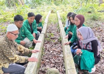 WhatsApp Image 2026 02 11 at 10.48.12