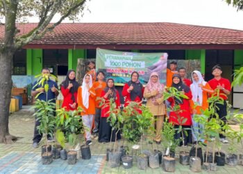 WhatsApp Image 2026 02 11 at 10.59.26