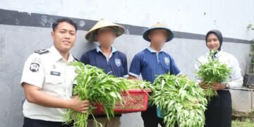 WhatsApp Image 2026 02 11 at 11.13.17