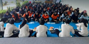 WhatsApp Image 2026 02 11 at 14.14.44