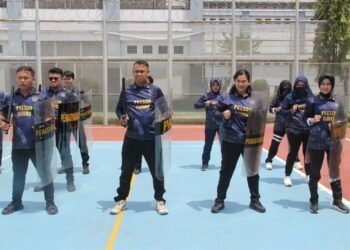 WhatsApp Image 2026 02 11 at 15.22.18 1