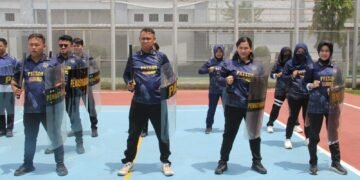 WhatsApp Image 2026 02 11 at 15.22.18 1