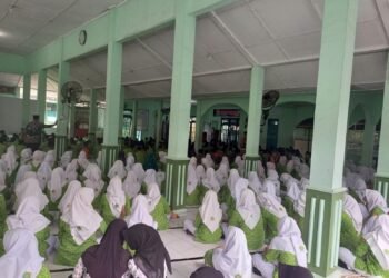 WhatsApp Image 2026 02 11 at 18.16.16