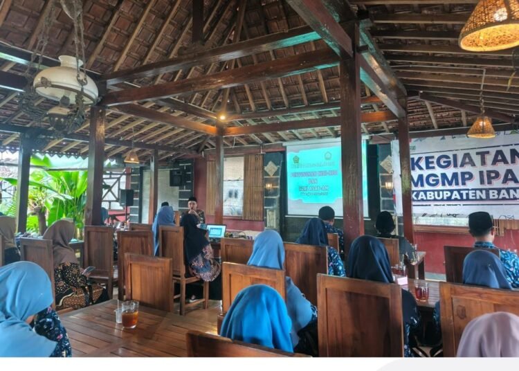 WhatsApp Image 2026 02 11 at 20.45.44