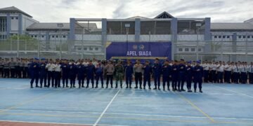 WhatsApp Image 2026 02 12 at 08.42.34