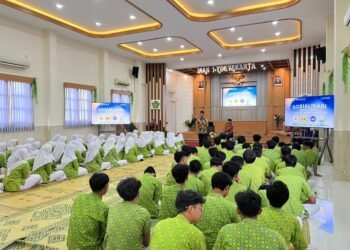 WhatsApp Image 2026 02 12 at 09.25.54