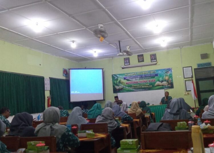 WhatsApp Image 2026 02 12 at 11.31.02