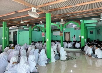 WhatsApp Image 2026 02 12 at 13.43.41