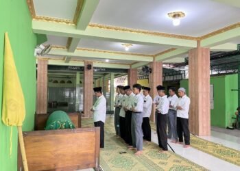 WhatsApp Image 2026 02 12 at 13.44.23