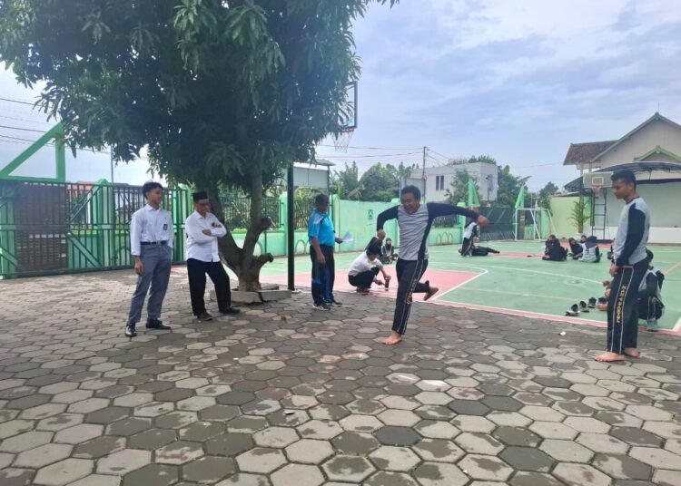 WhatsApp Image 2026 02 12 at 13.44.49