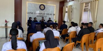 WhatsApp Image 2026 02 12 at 13.50.01