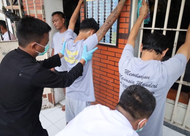 WhatsApp Image 2026 02 12 at 14.40.49