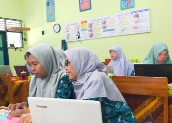 WhatsApp Image 2026 02 12 at 15.09.16