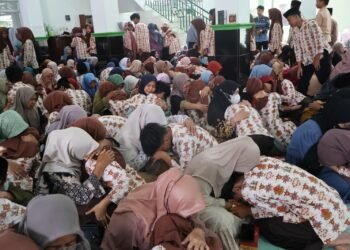 WhatsApp Image 2026 02 13 at 09.13.24