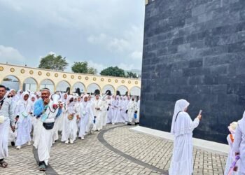 WhatsApp Image 2026 02 13 at 09.31.14 1