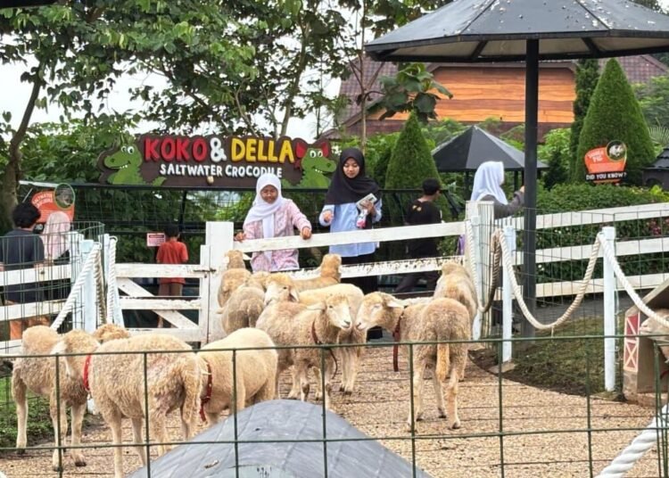 WhatsApp Image 2026 02 13 at 10.46.42