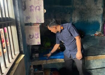 WhatsApp Image 2026 02 14 at 10.19.05