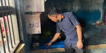 WhatsApp Image 2026 02 14 at 10.19.05