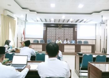 WhatsApp Image 2026 02 14 at 14.46.57