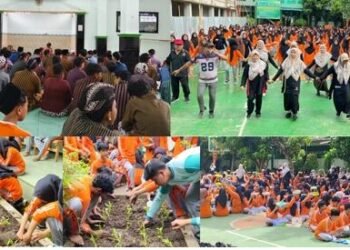 WhatsApp Image 2026 02 14 at 15.30.15