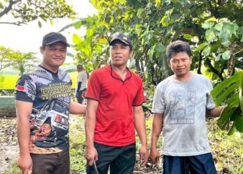 Bersama Warga, PAC LDII Karangwinongan Kerja Bakti Bersihkan Makam Umum Desa