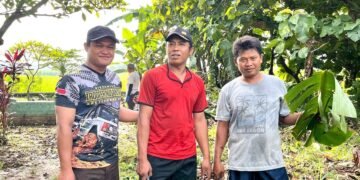 Bersama Warga, PAC LDII Karangwinongan Kerja Bakti Bersihkan Makam Umum Desa