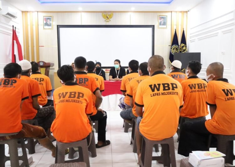 WhatsApp Image 2026 02 15 at 09.49.36