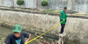 WhatsApp Image 2026 02 16 at 14.51.29