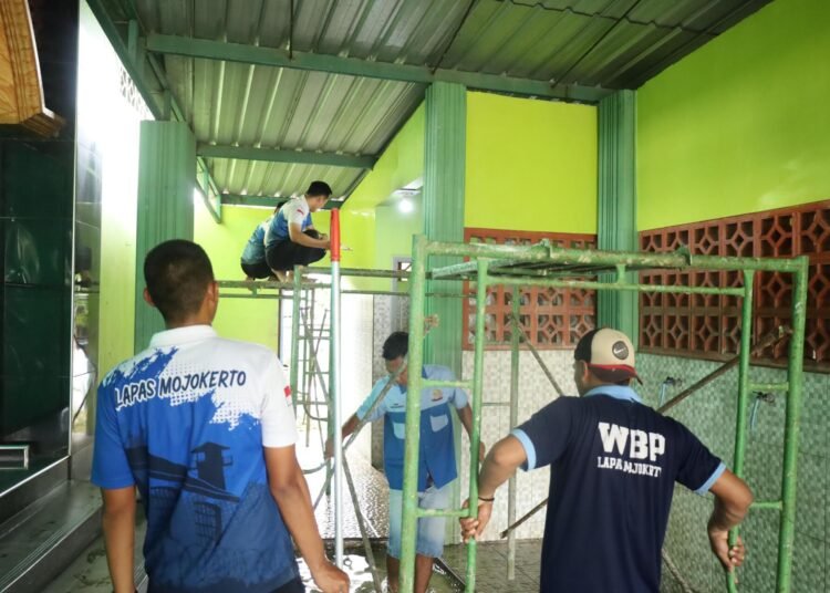 WhatsApp Image 2026 02 16 at 15.48.52