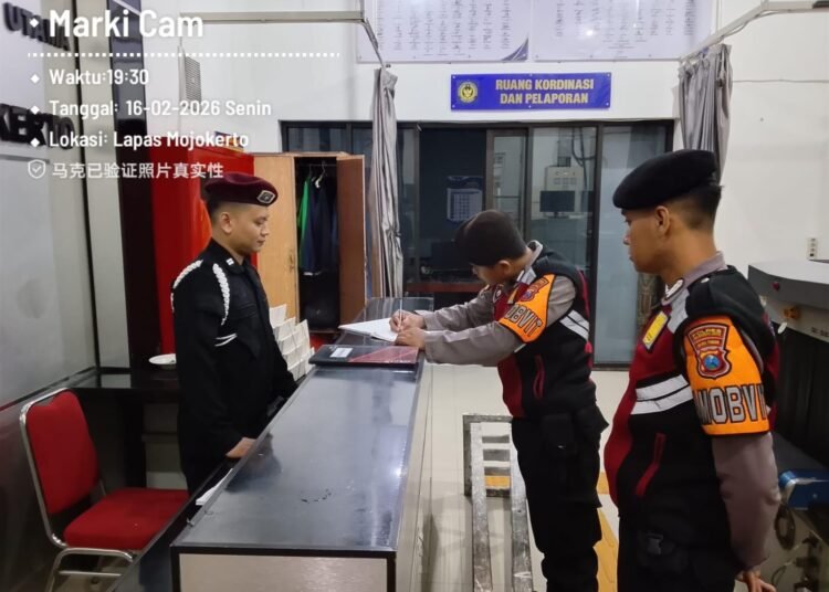 WhatsApp Image 2026 02 17 at 11.04.26