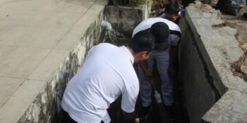 WhatsApp Image 2026 02 17 at 17.47.57