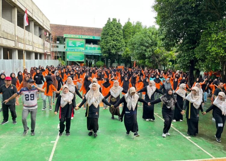 WhatsApp Image 2026 02 18 at 15.26.56 1