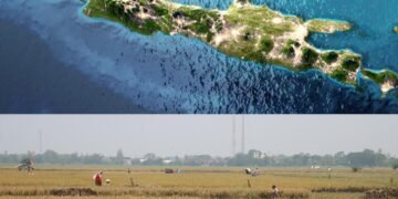 Ditjen Tata Ruang Koordinasikan Pengendalian Alih Fungsi Lahan Sawah dan Mitigasi Bencana di Pulau Jawa