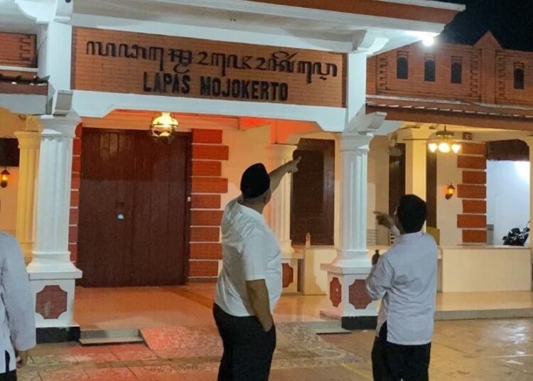 WhatsApp Image 2026 02 19 at 08.37.16