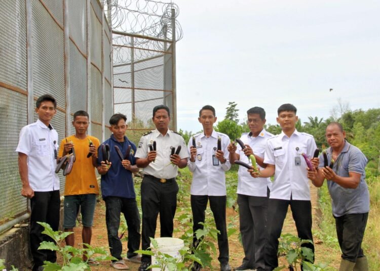 Produktif Sambut Ramadan, Lapas Kelas IIA Bengkulu Petik Terong 46 Panen terong oleh warga binaan Lapas Kelas IIA Bengkulu menjadi berkah awal Ramadan sekaligus wujud pembinaan kemandirian dan ketahanan pangan. Doc. Humas Lapas Bengkulu
