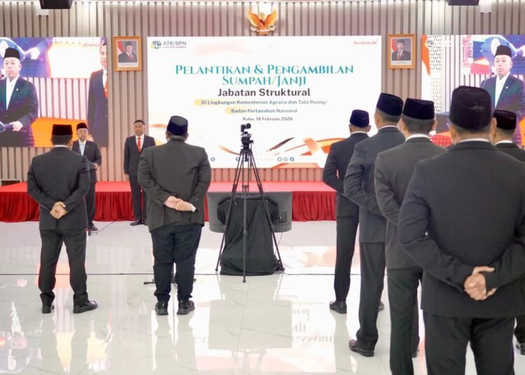 WhatsApp Image 2026 02 19 at 14.38.42