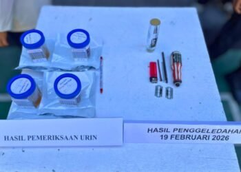 WhatsApp Image 2026 02 19 at 17.36.46