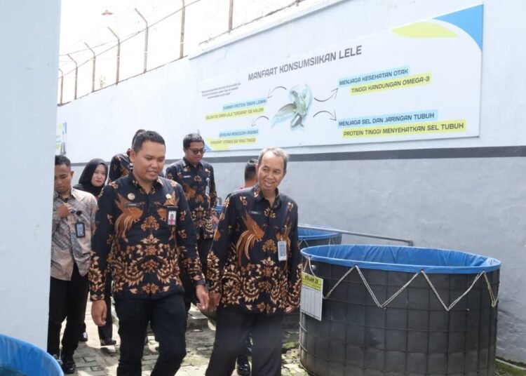 WhatsApp Image 2026 02 21 at 10.51.11