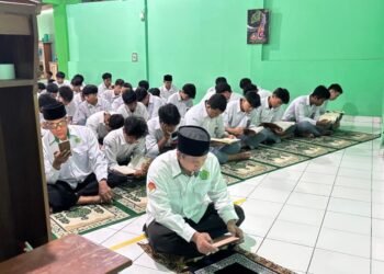 WhatsApp Image 2026 02 23 at 18.47.25 2