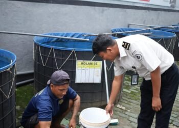 WhatsApp Image 2026 02 24 at 09.35.20